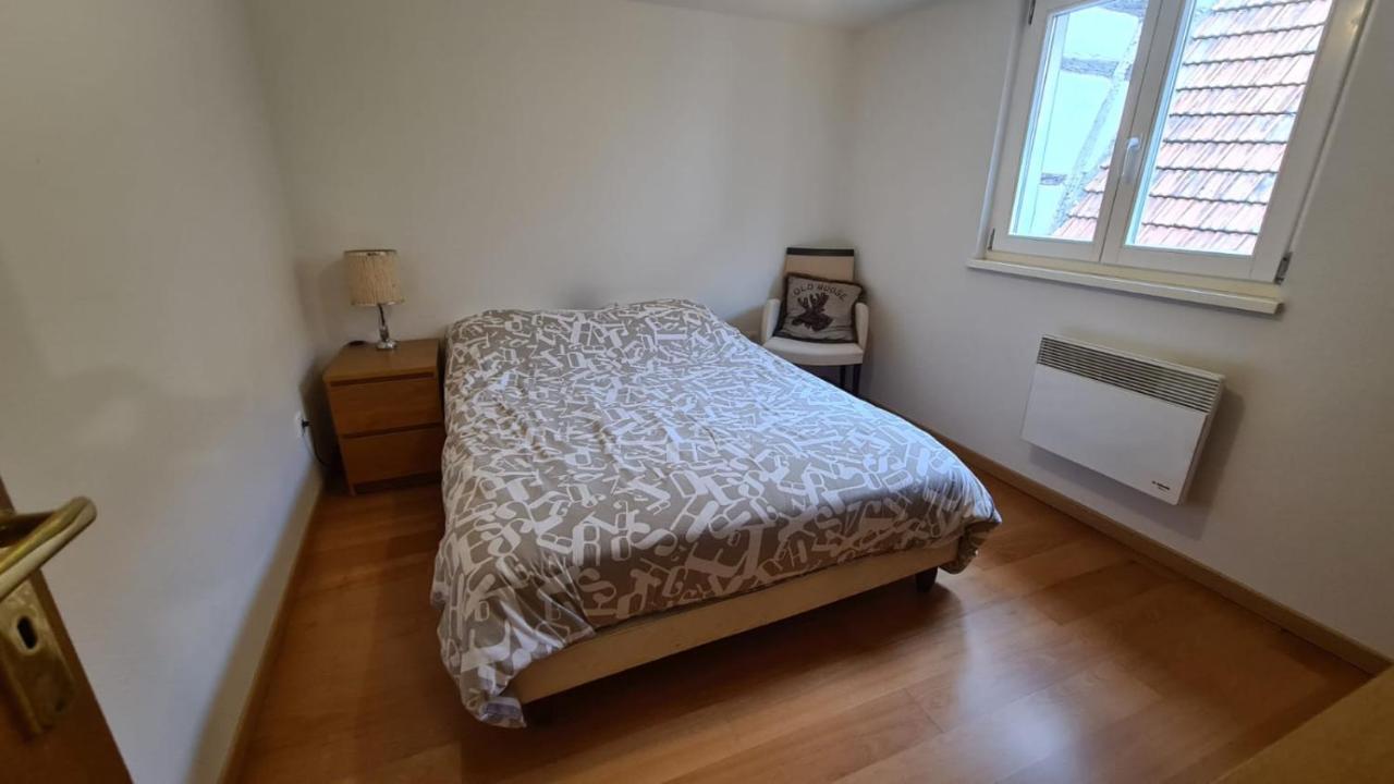Le Bonheur Est Parfois Cache Dans L'Inconnu Apartment ซิลิสตาต์ ภายนอก รูปภาพ