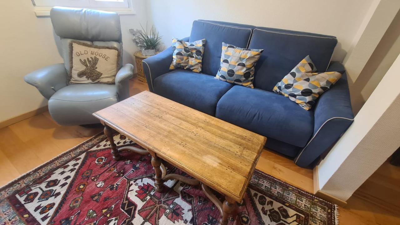 Le Bonheur Est Parfois Cache Dans L'Inconnu Apartment ซิลิสตาต์ ภายนอก รูปภาพ
